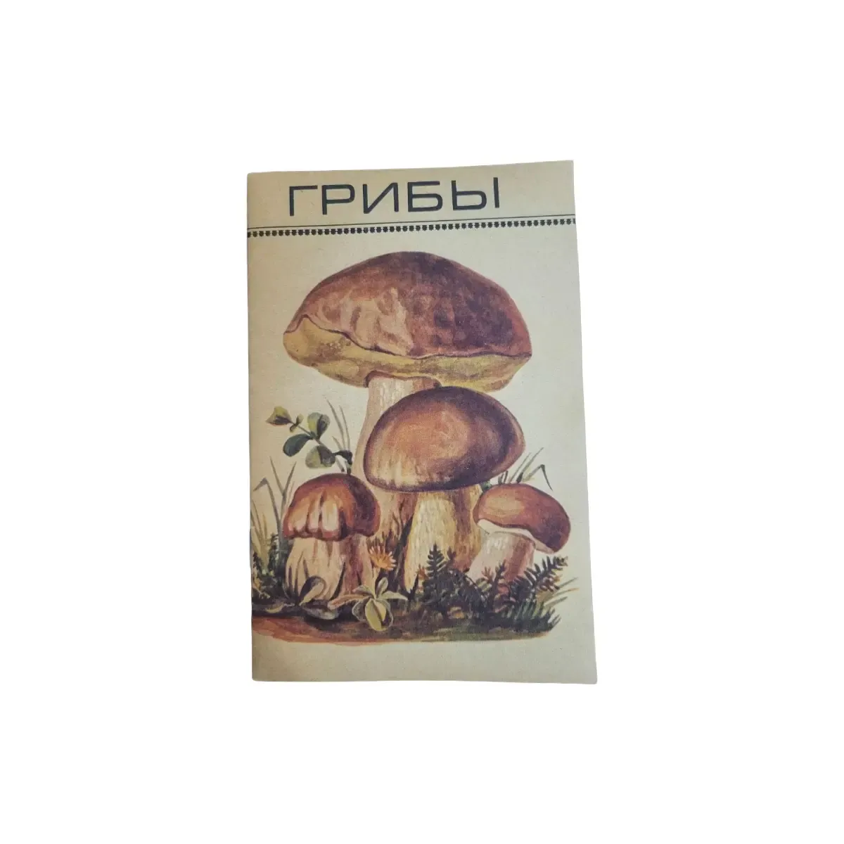 Брошура «Гриби» 1974, б/у