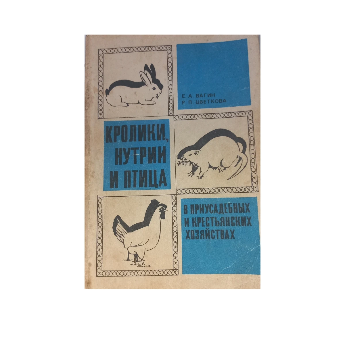 Фото книги Є. А. Вагін 