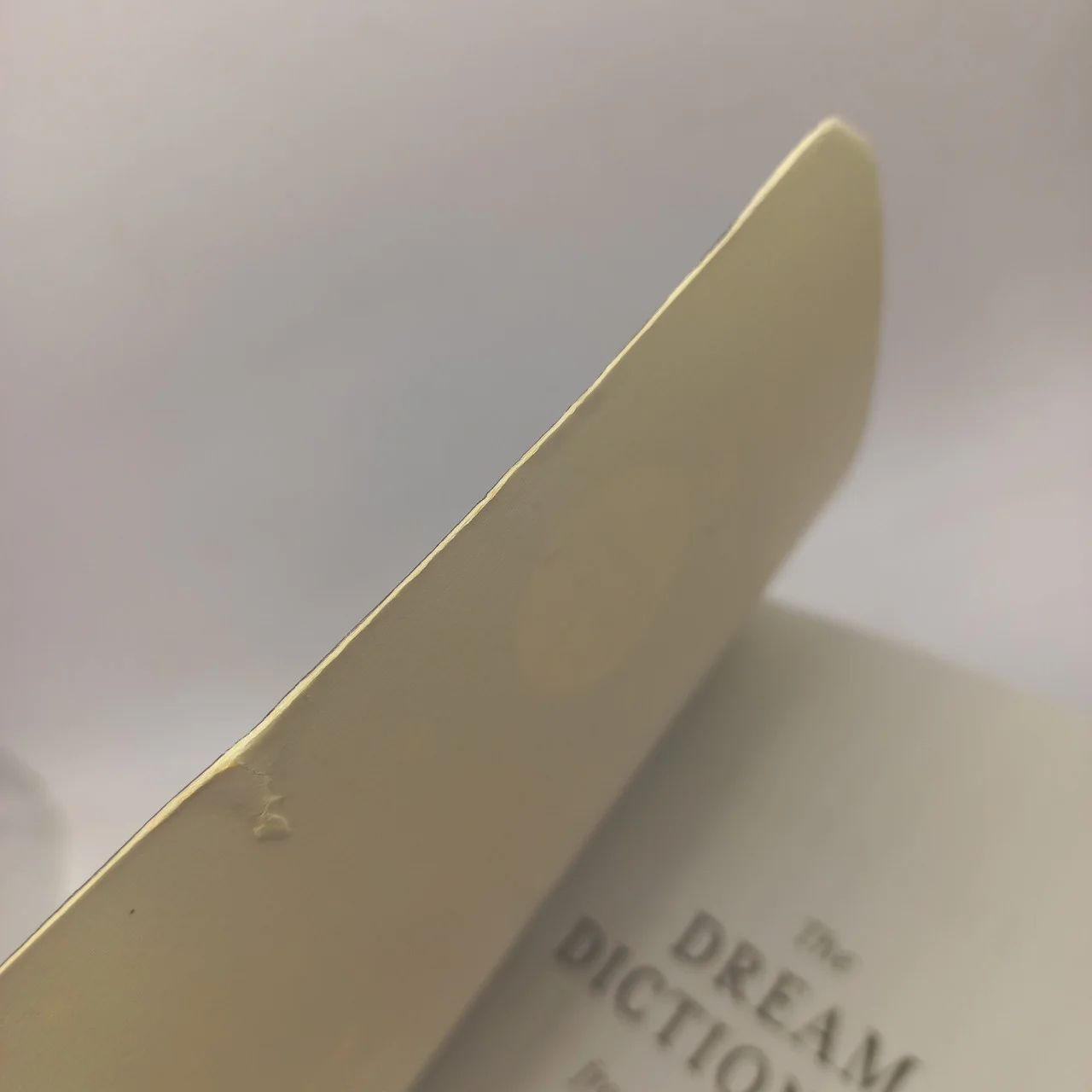 Theresa Cheung «The Dream Dictionary from A to Z» фото 4