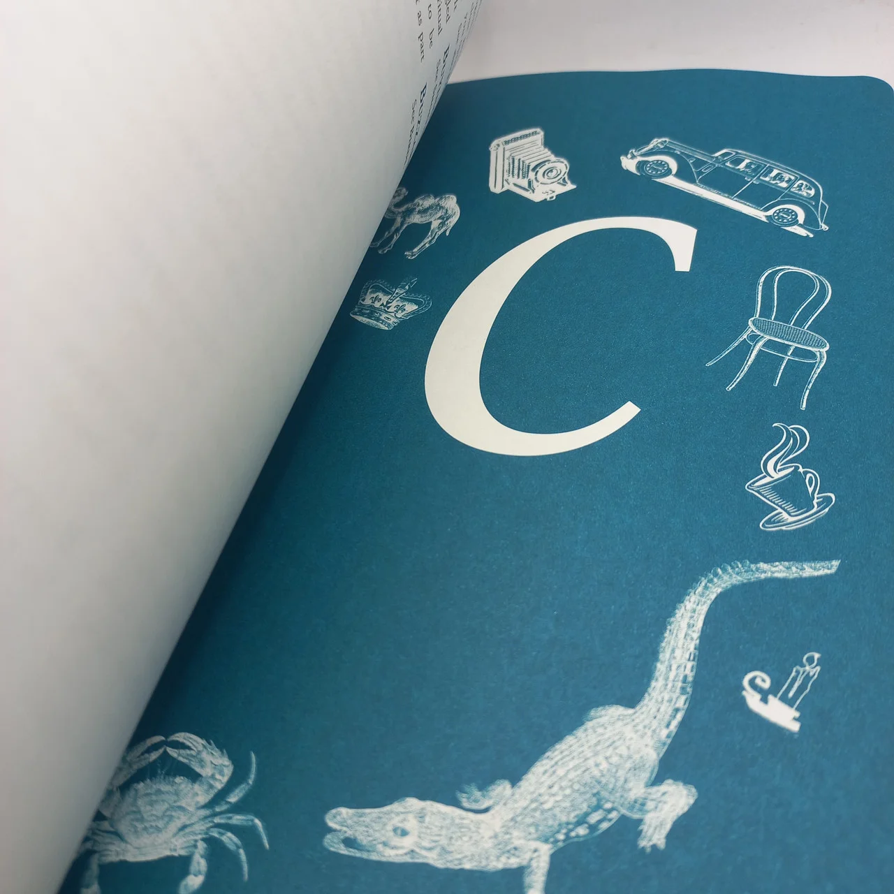 Theresa Cheung «The Dream Dictionary from A to Z» фото 3