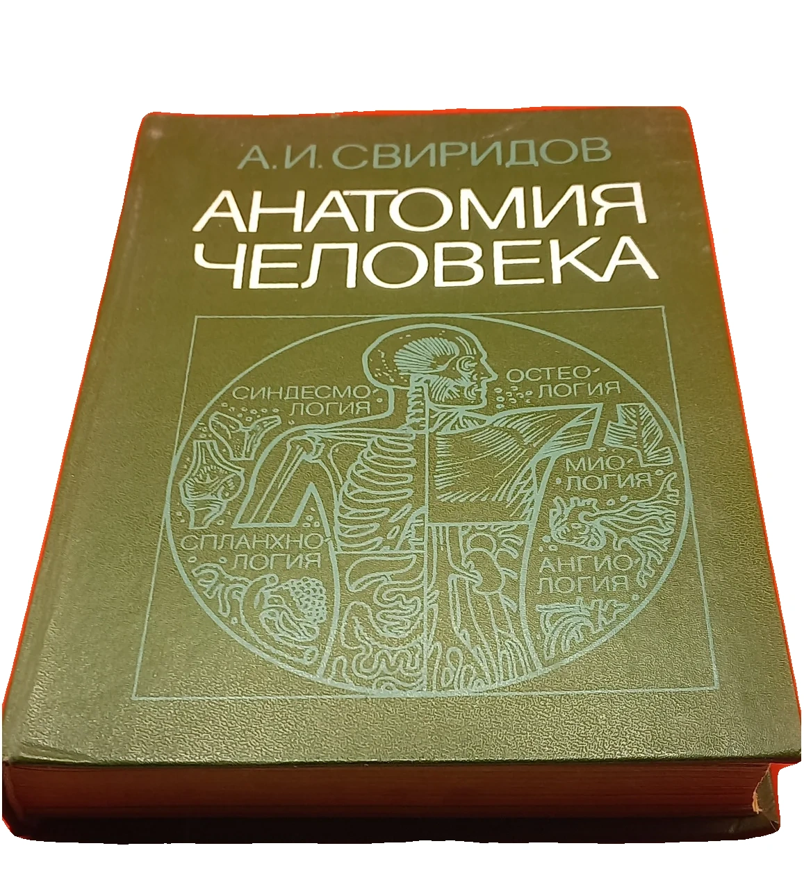 Свірідов А.І. Анатомія людини 1983 б/у