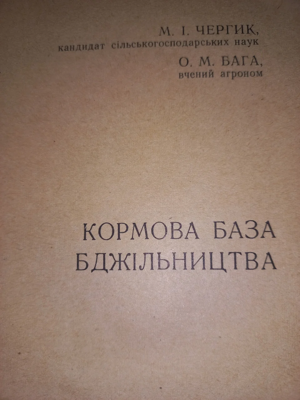 Книга Чергик 