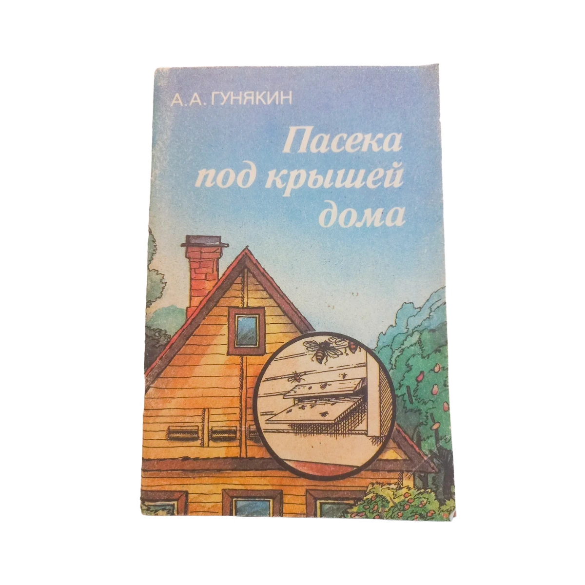 Гунякин А. А. Пасіка під дахом будинку