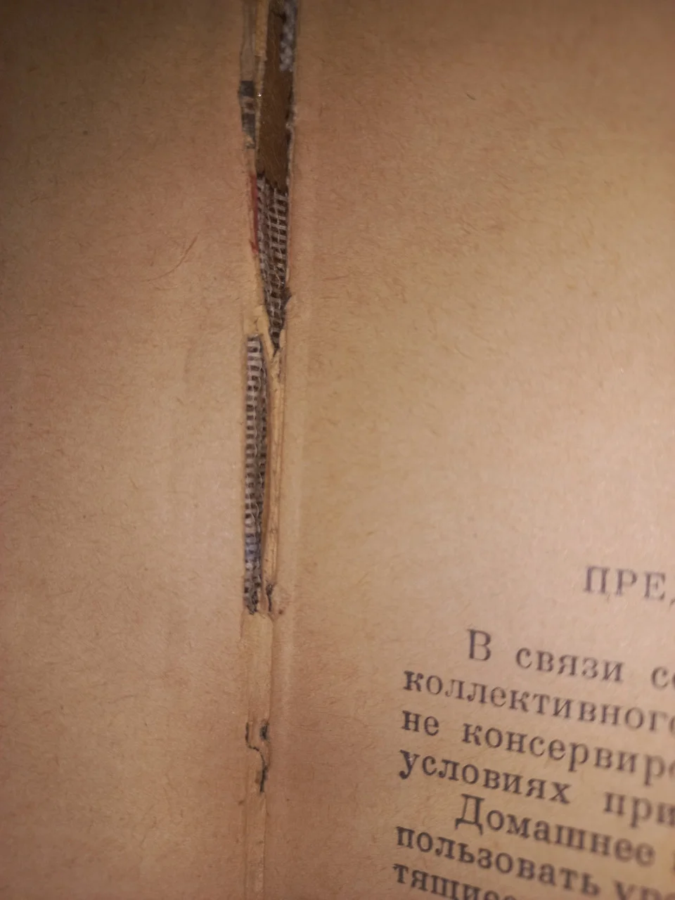 Книга Я.Балаштик