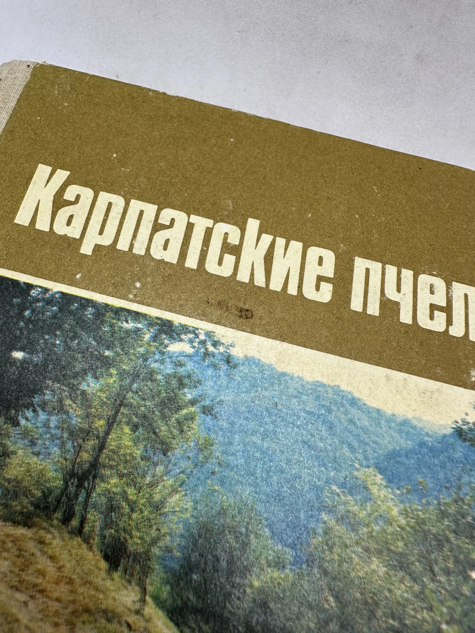 В. А. Гайдар, В. П. Пилипенко 