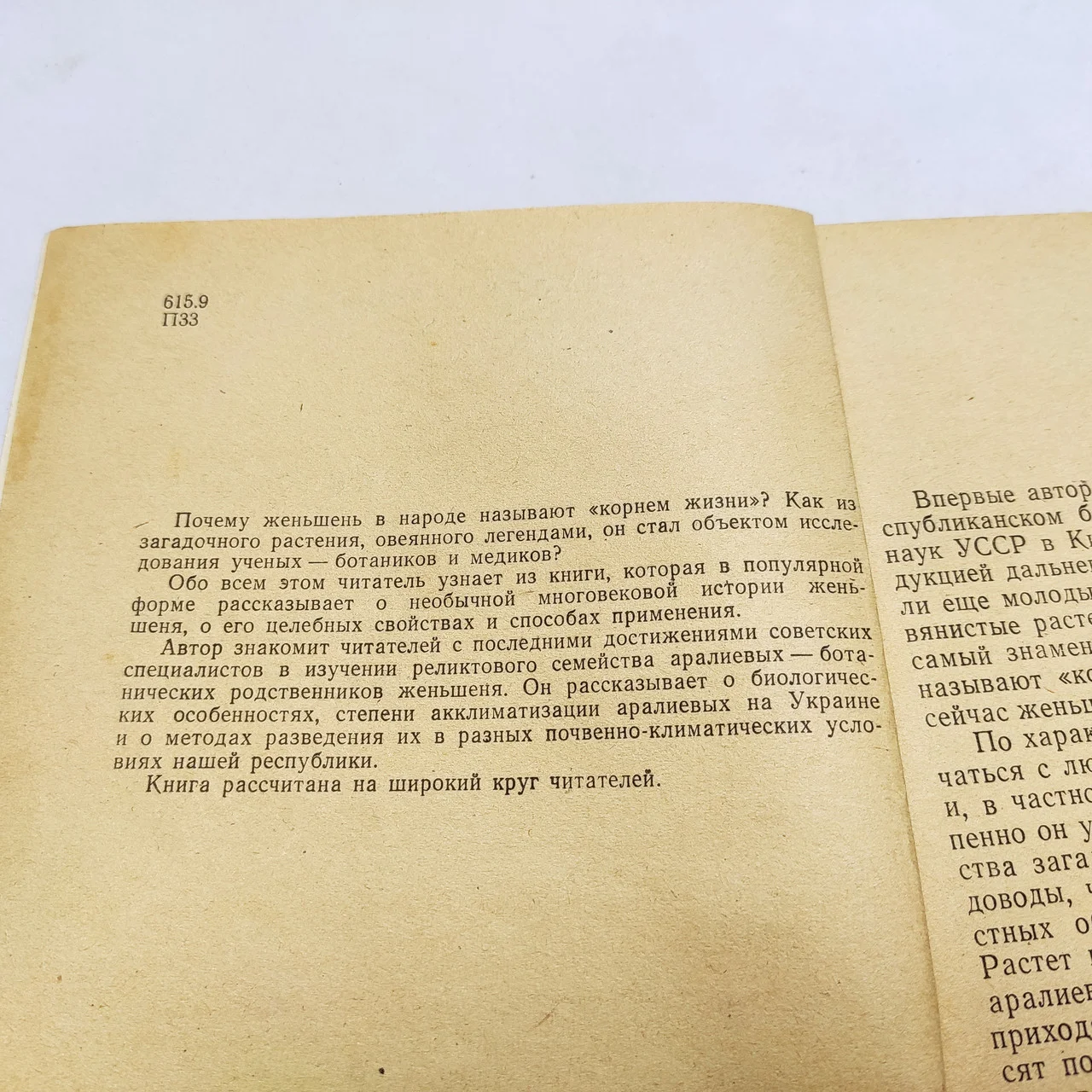 Пироженко 